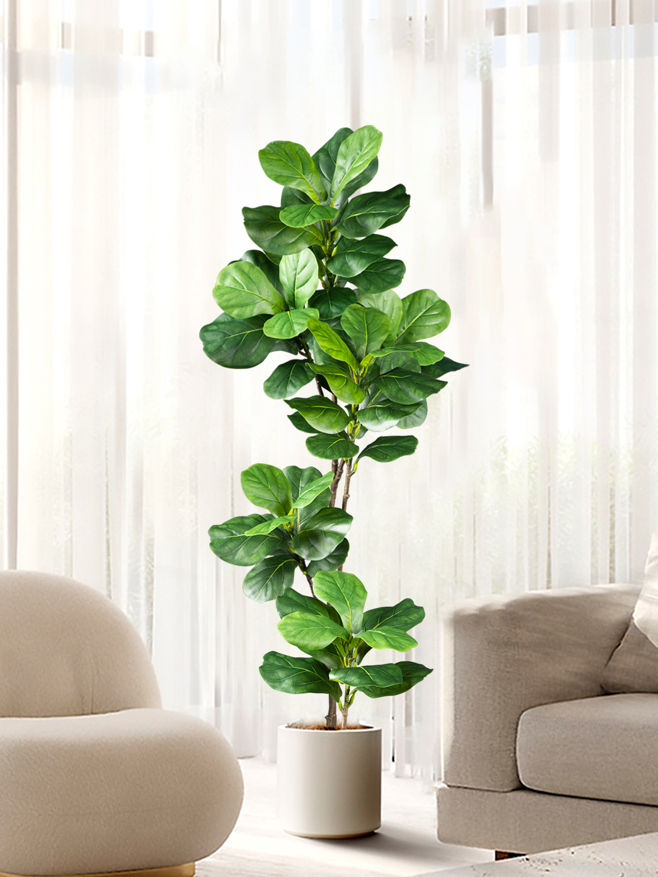 Dracaena Marginata - 70-135cm Large Artificial Ficus Tree Fake