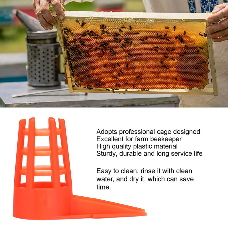 20 PcsKing Cells Plastic Bee Q - Begonia Rex incelemesi ve fiyatı