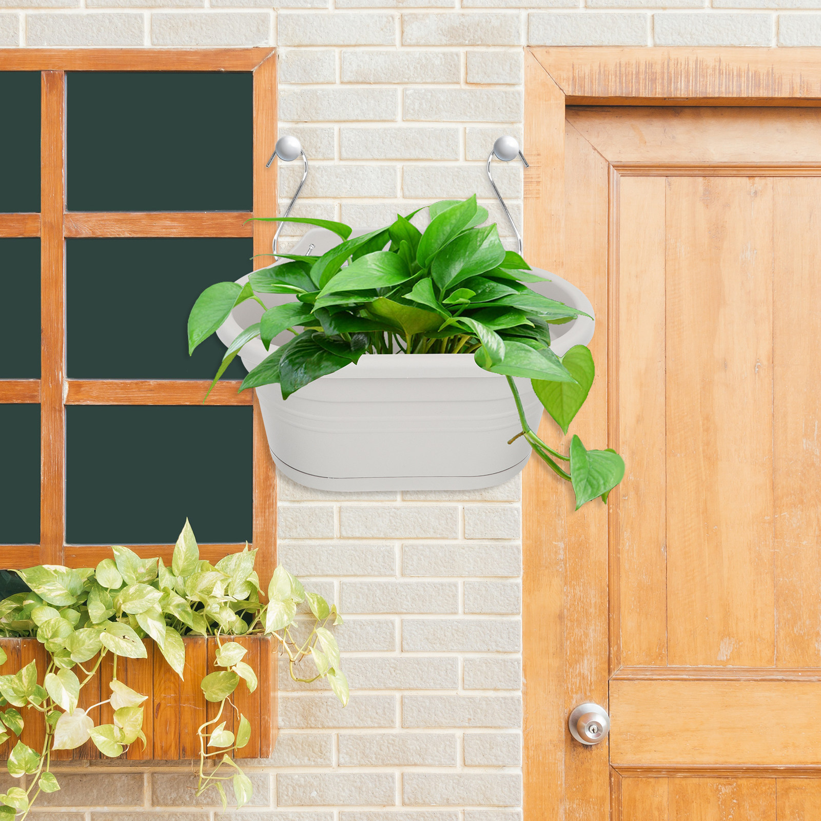 1Set Wall Hanging Flower Pot S - Spider Plant Hanging incelemesi ve fiyatı