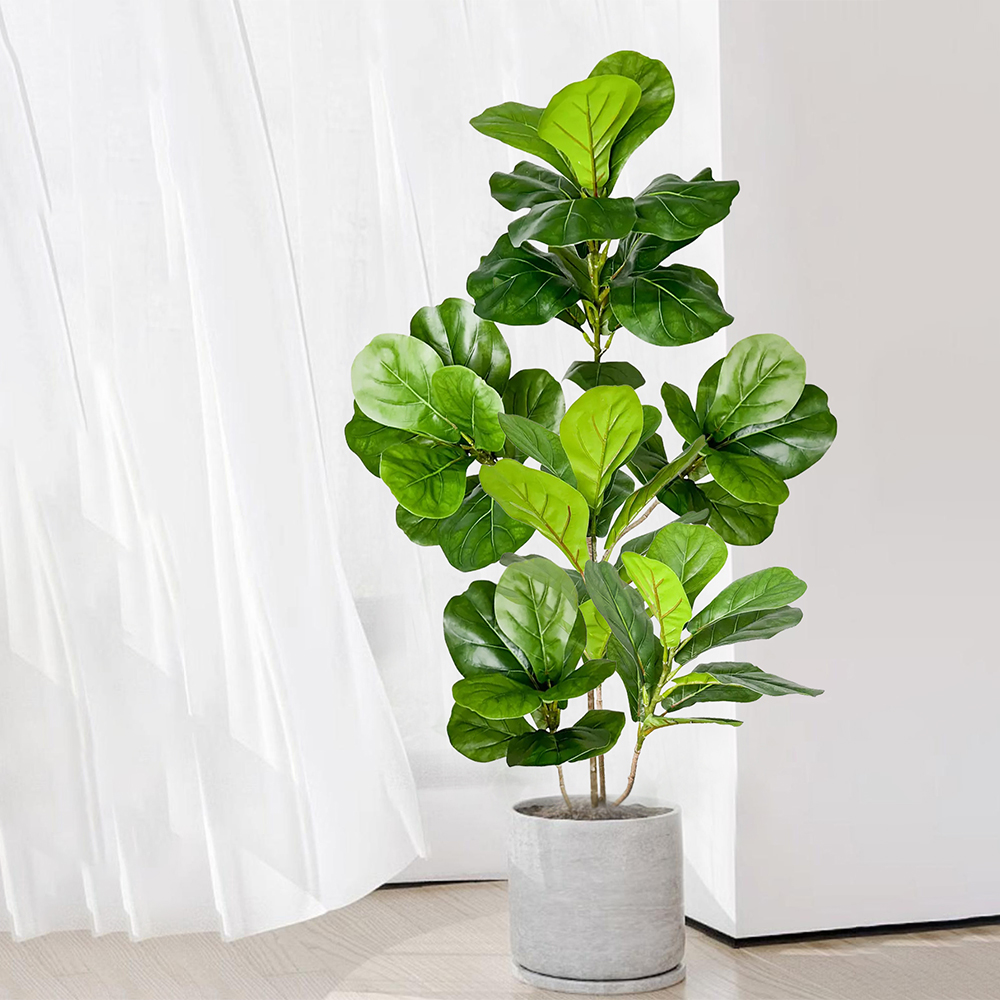 70-135cm Large Artificial Fidd - Ficus Lyrata Tree incelemesi ve fiyatı