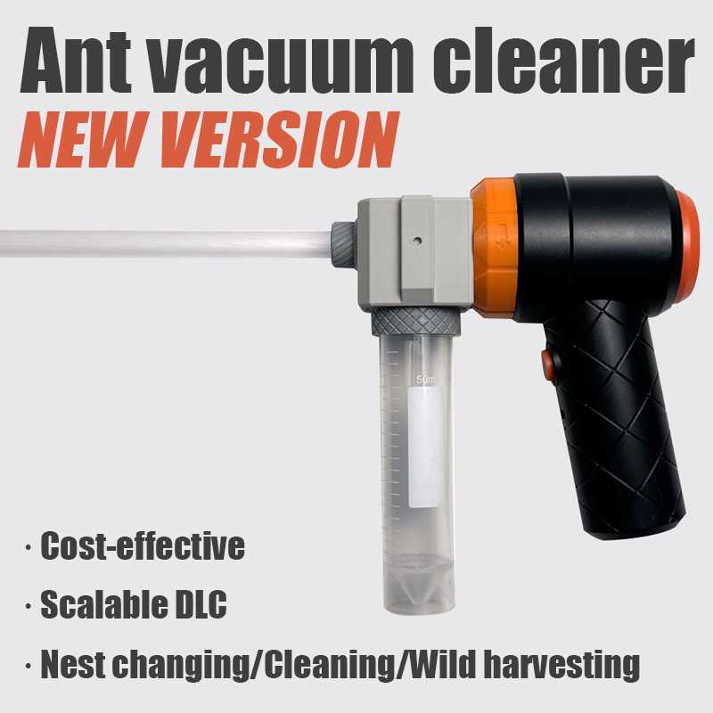 Ant Farm Collection Tool Ants  - Begonia Rex incelemesi ve fiyatı