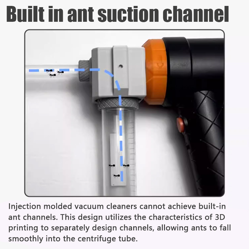 Ant Farm Collection Tool Ants  - Begonia Rex incelemesi ve fiyatı