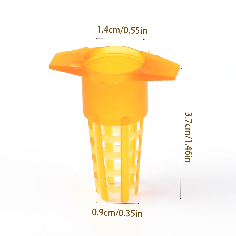 50 Pcs King Cells Plastic Bee  - Begonia Rex incelemesi ve fiyatı