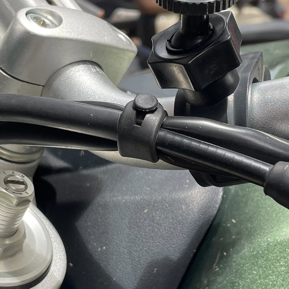 For Ducati Monster Multistrada - Monstera Adansonii incelemesi ve fiyatı