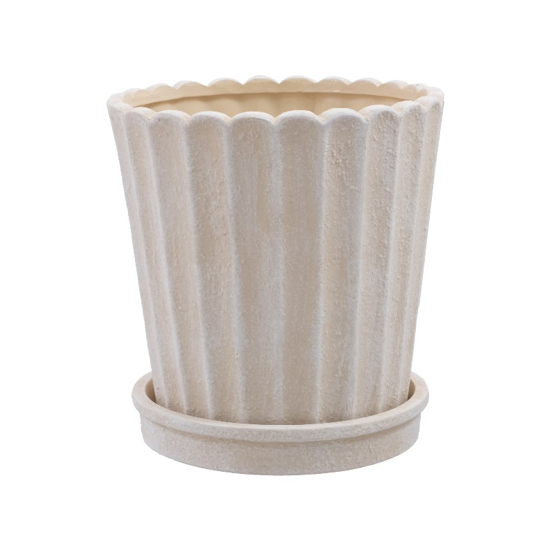 8 Inch Shell Planter Cream Cer - Aloe Vera Pot incelemesi ve fiyatı