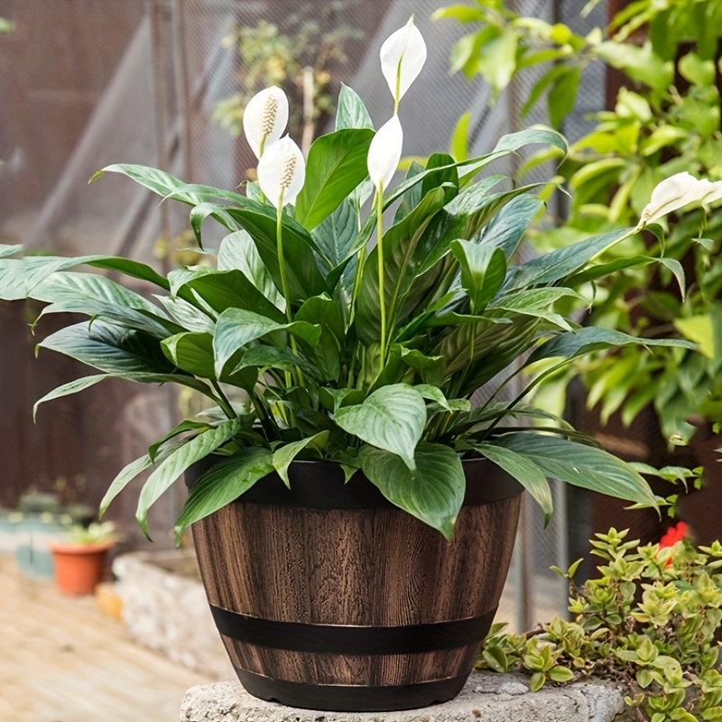 Durable Plastic Round Elegant  - Aloe Vera Pot incelemesi ve fiyatı