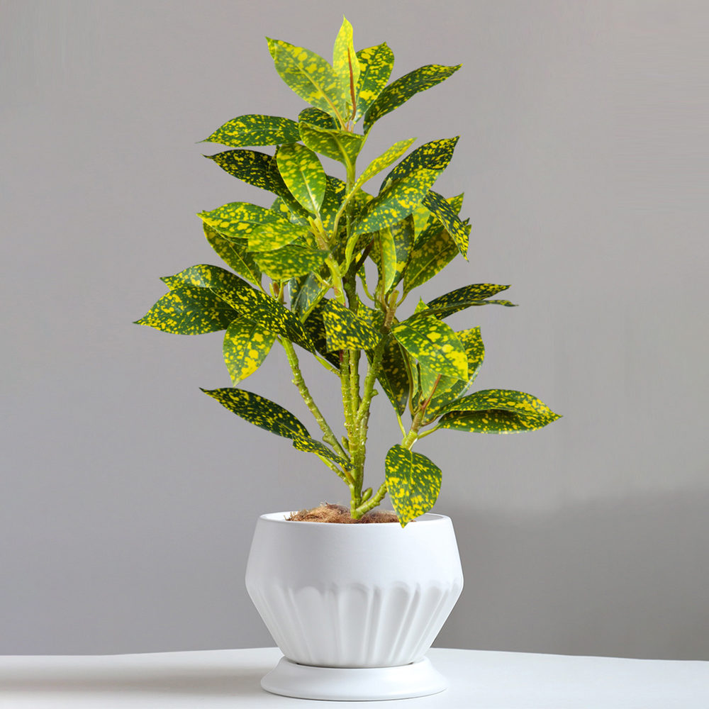 24-41cm Artificial Ficus Tree  - Ficus Lyrata Tree incelemesi ve fiyatı