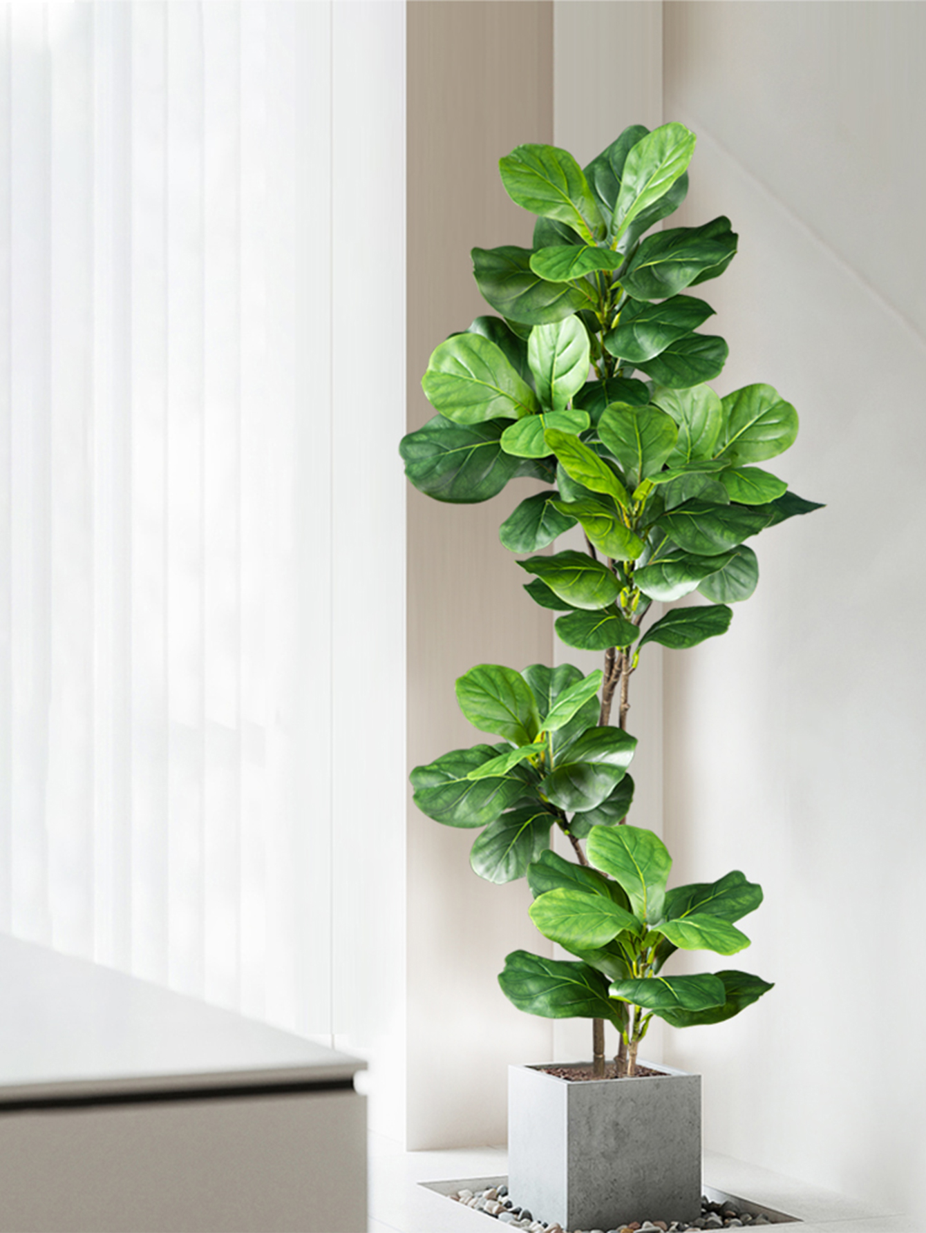 70-135cm Large Artificial Ficu - Dracaena Marginata incelemesi ve fiyatı
