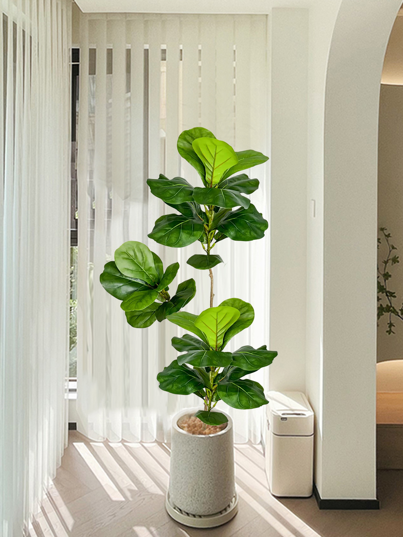 70-135cm Large Artificial Ficu - Dracaena Marginata incelemesi ve fiyatı