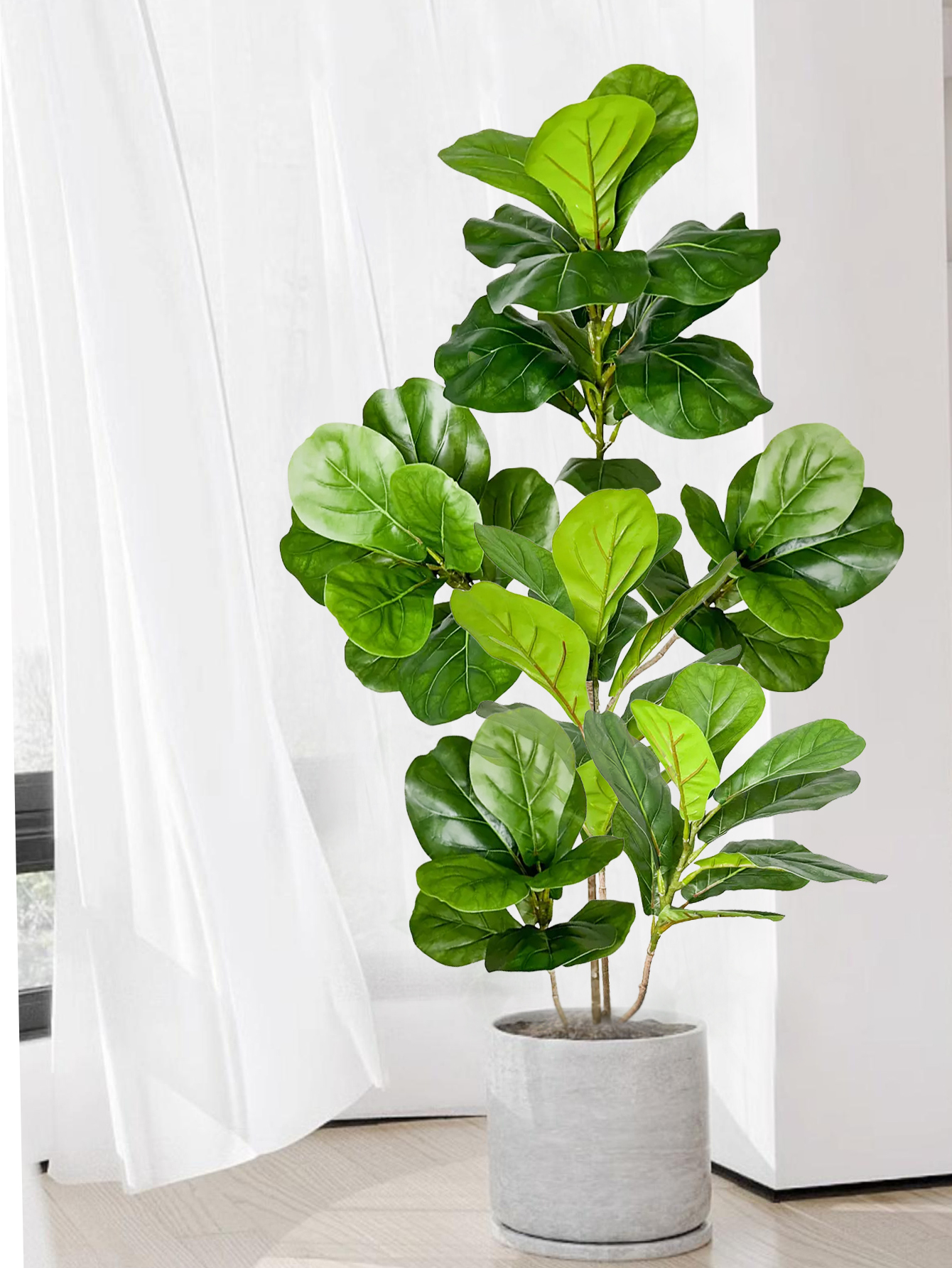70-135cm Large Artificial Ficu - Dracaena Marginata incelemesi ve fiyatı