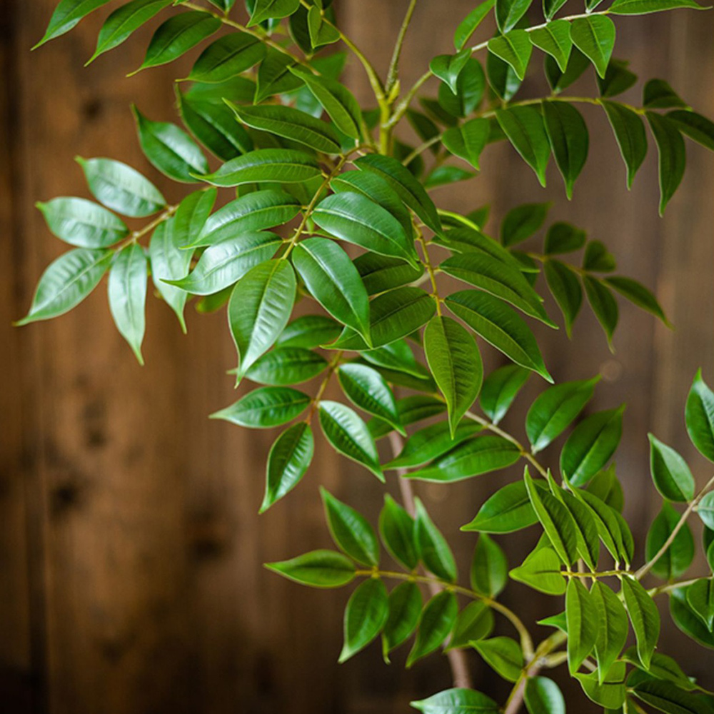 76-140cm Large Artificial Ficu - Ficus Lyrata Tree incelemesi ve fiyatı