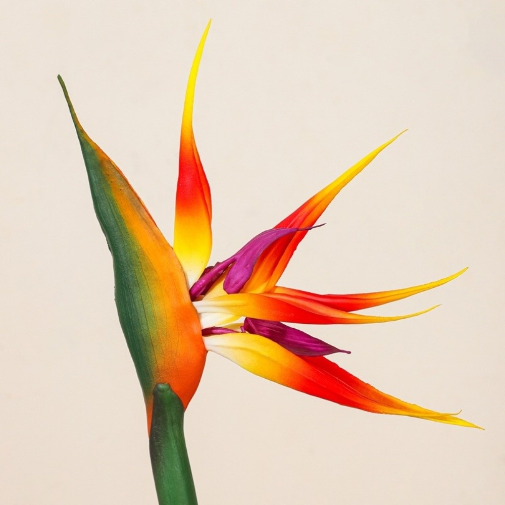 New Long Stem Artificial Bird  - Bird Paradise Strelitzia incelemesi ve fiyatı