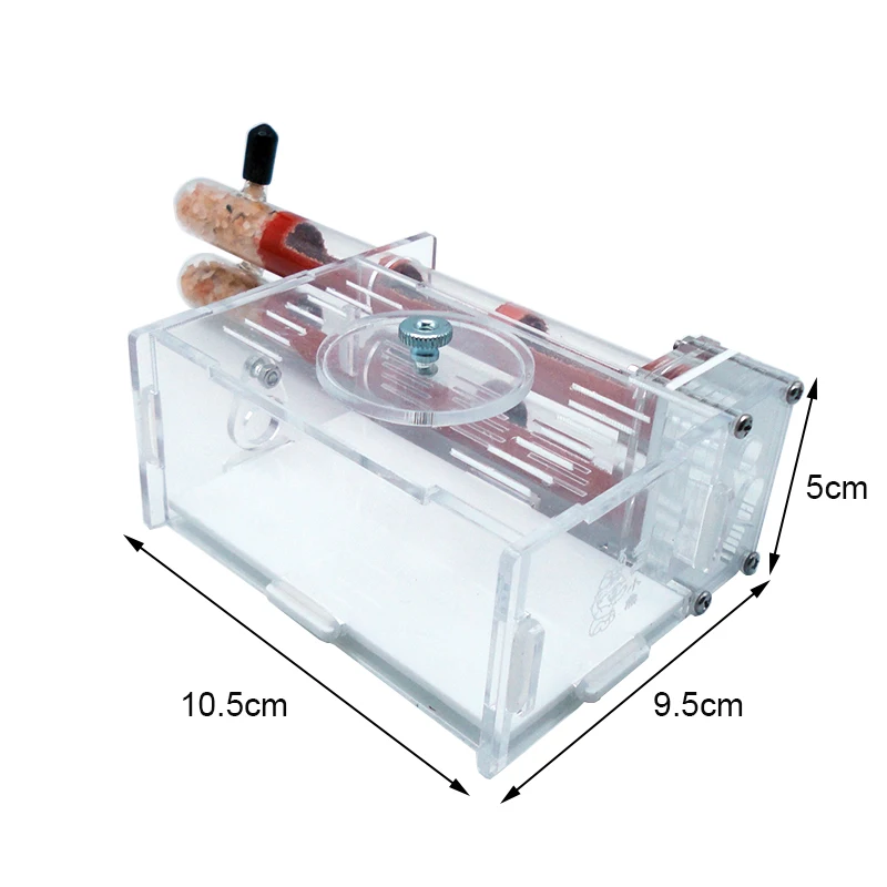 DIY Ant Farm 2 pcs 18-180mm Gy - Begonia Rex incelemesi ve fiyatı