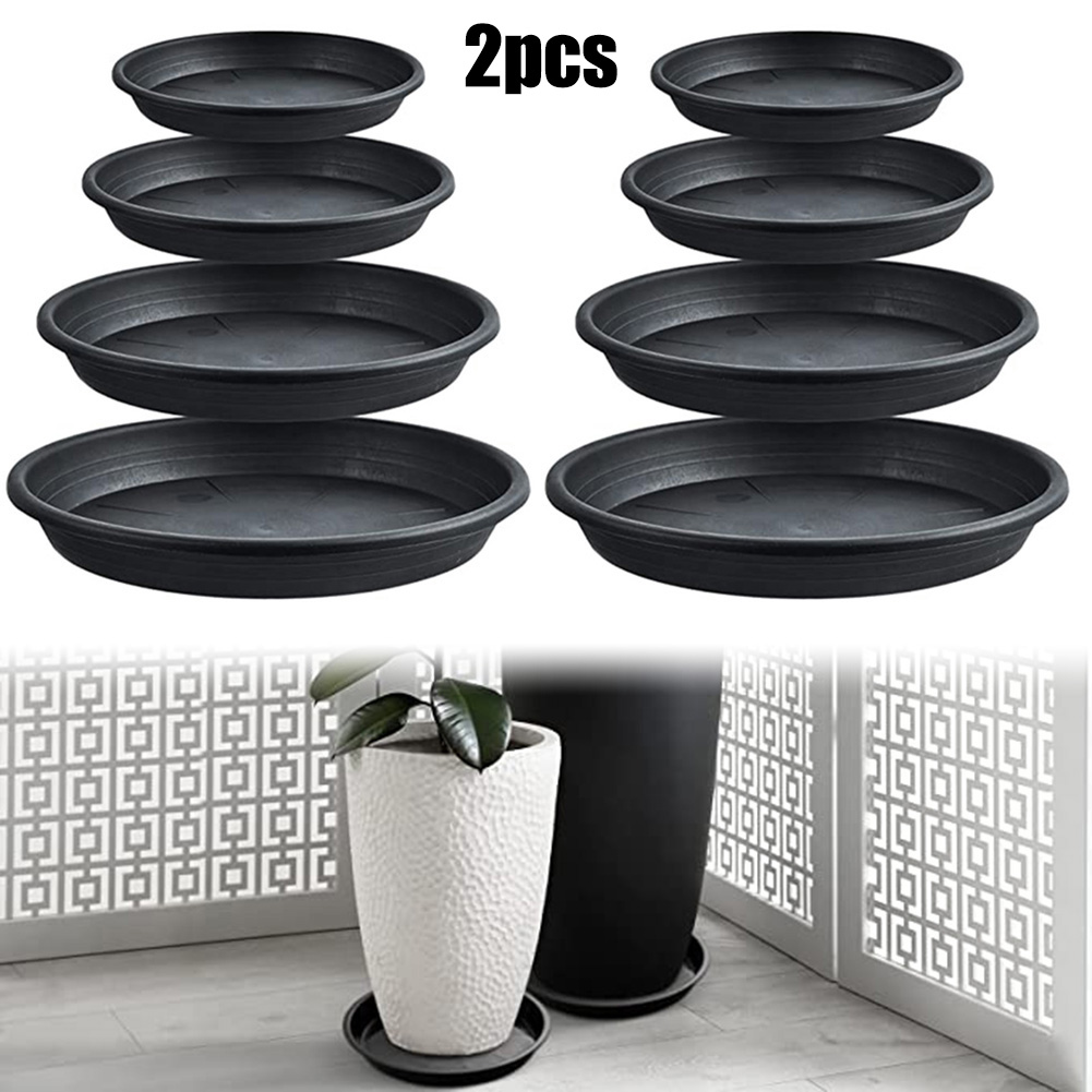 2pcs Plant Trays Round Succule - Echeveria Succulent incelemesi ve fiyatı