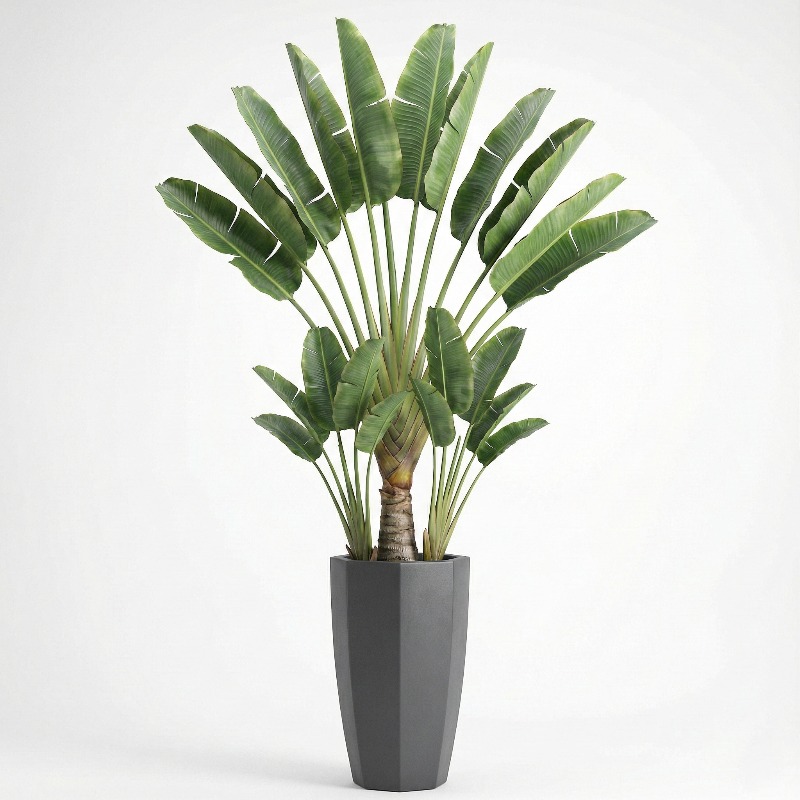 High-Simulation Plastic Fiddle - Ficus Lyrata Tree incelemesi ve fiyatı