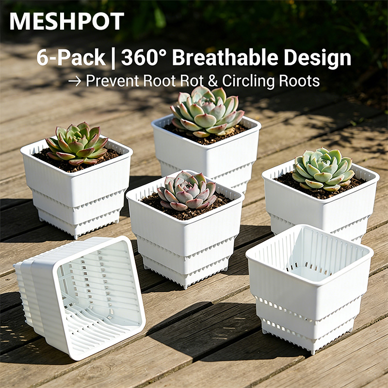 MESHPOT 6-Pack Square Pots for - Echeveria Succulent incelemesi ve fiyatı