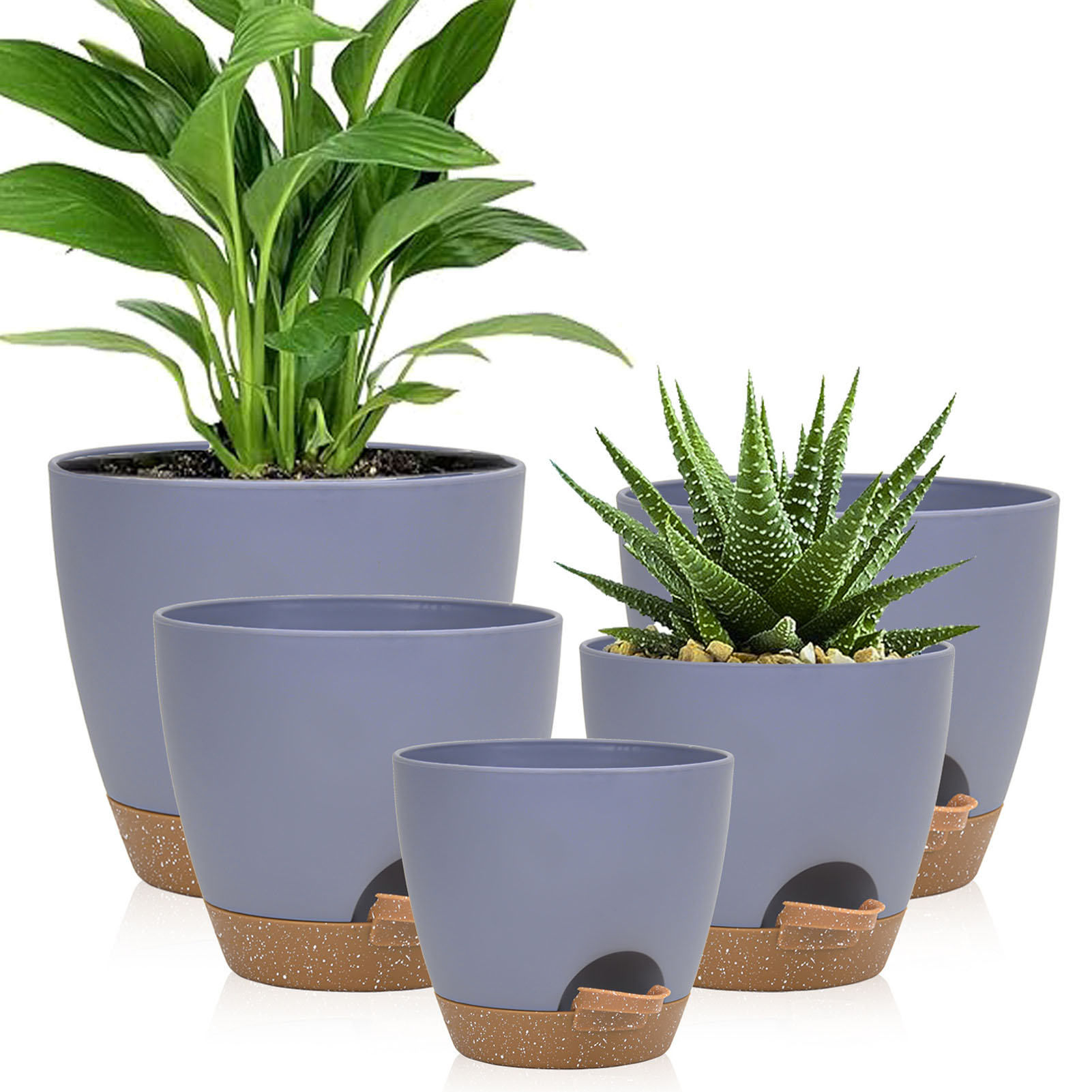5piece Indoor Flower Pots With - Aloe Vera Pot incelemesi ve fiyatı