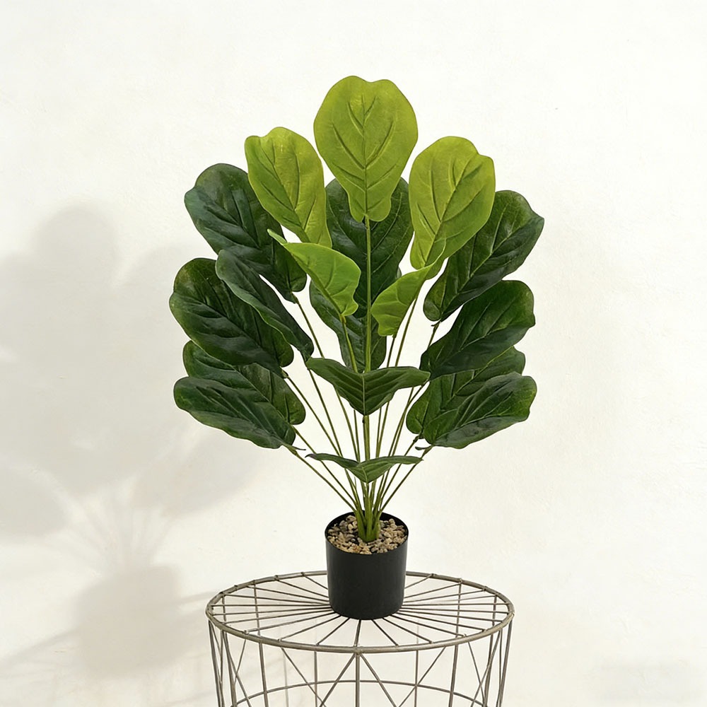 1pc of 75cm Artificial Ficus L - Ficus Lyrata Tree incelemesi ve fiyatı