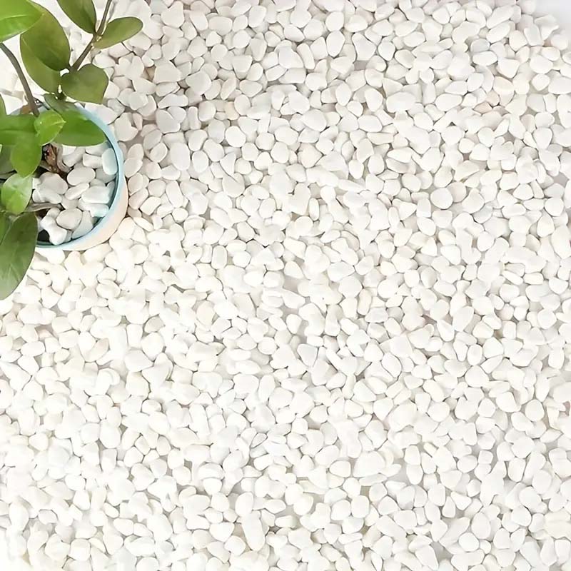 White Pebbles Decorative Stone - Echeveria Succulent incelemesi ve fiyatı