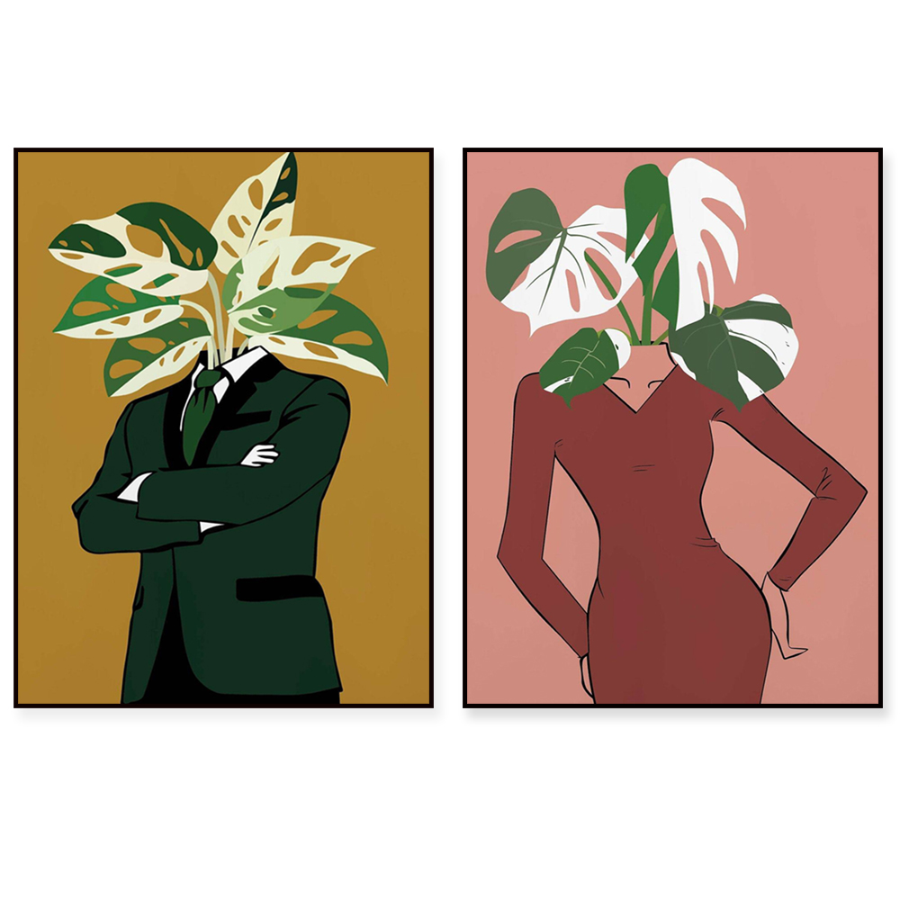 Monstera Albo in a burgundy dr - Monstera Adansonii incelemesi ve fiyatı