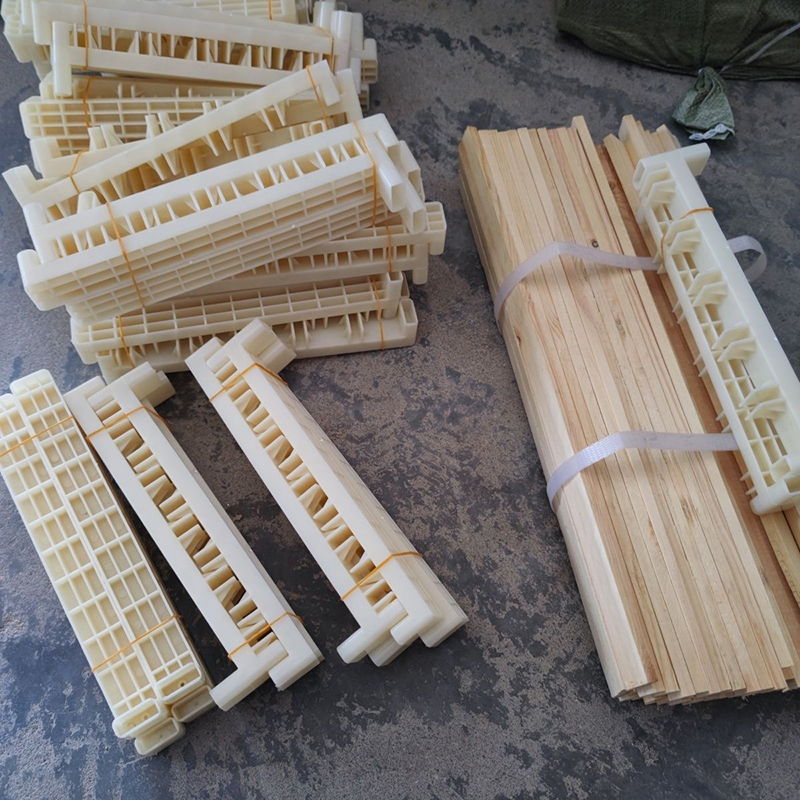 Bee Breeding Frames Plastic Ch - Begonia Rex incelemesi ve fiyatı