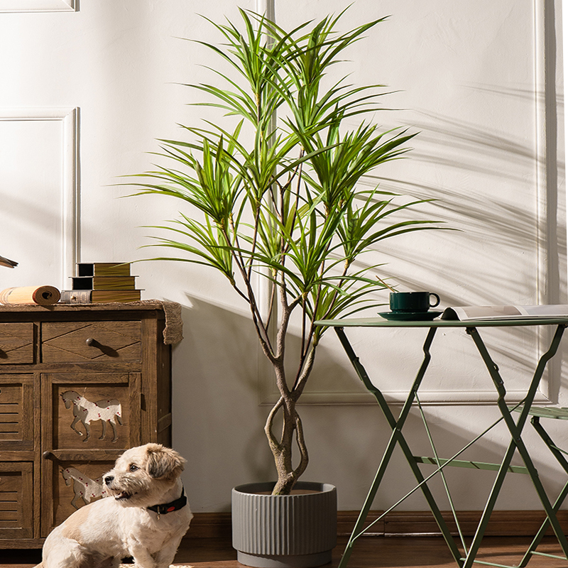 90-180cm Large Artificial Tree - Dracaena Marginata incelemesi ve fiyatı