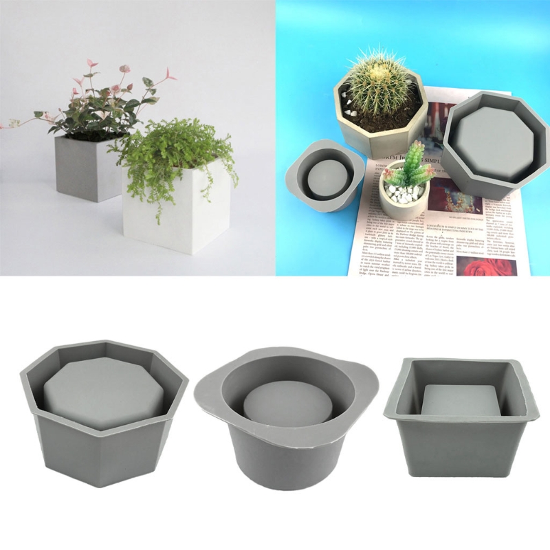 Handmade Succulent Planter Flo - Echeveria Succulent incelemesi ve fiyatı