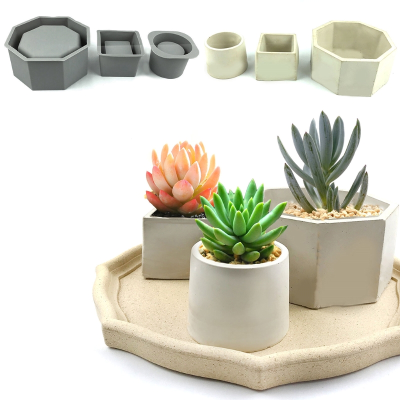 Handmade Succulent Planter Flo - Echeveria Succulent incelemesi ve fiyatı