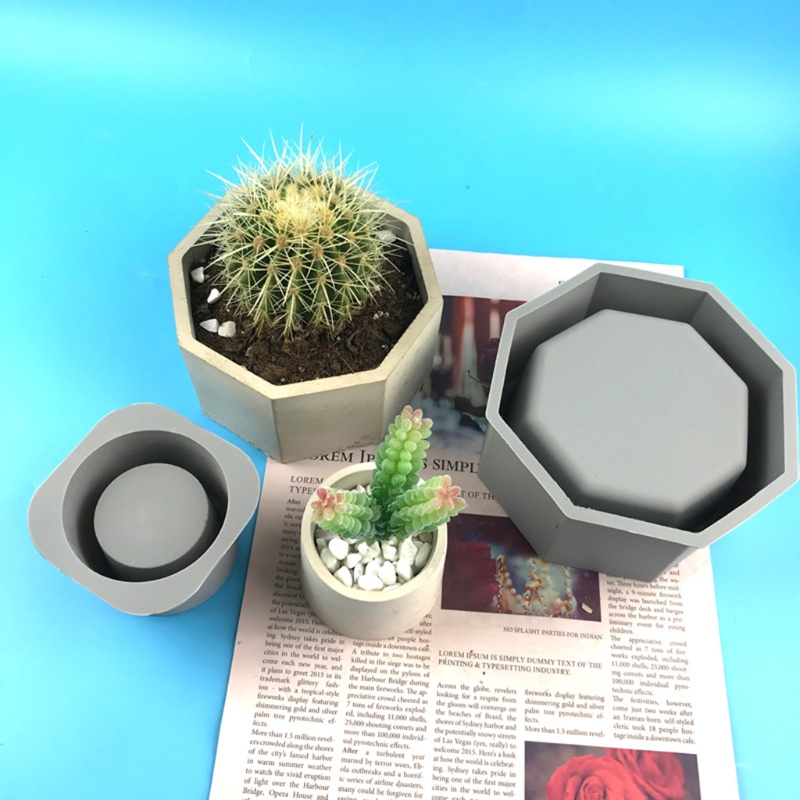 Handmade Succulent Planter Flo - Echeveria Succulent incelemesi ve fiyatı