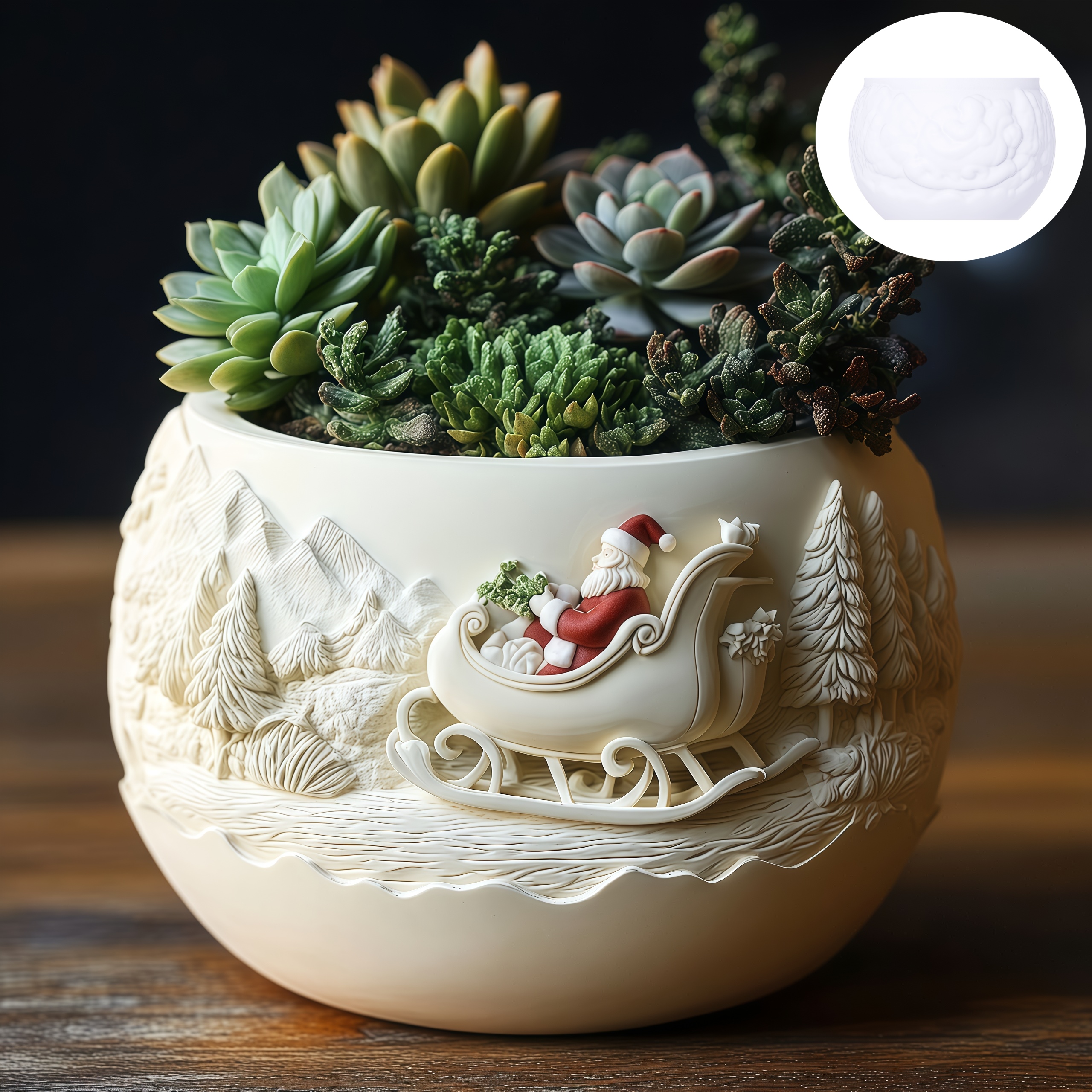 Cedar Sled Santa Claus Relief  - Echeveria Succulent incelemesi ve fiyatı
