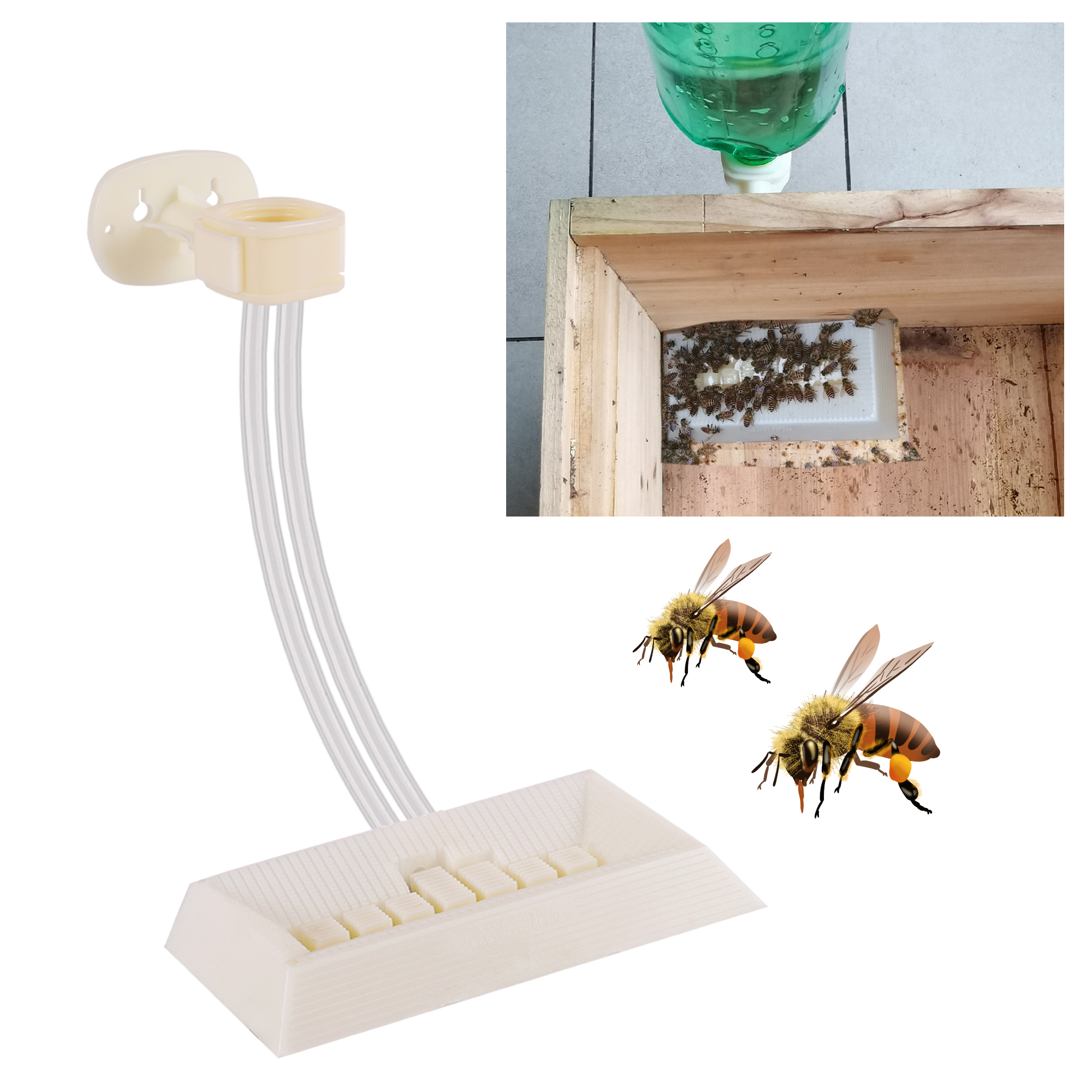 2Pcs Automatic Feeding Drinker - Begonia Rex incelemesi ve fiyatı
