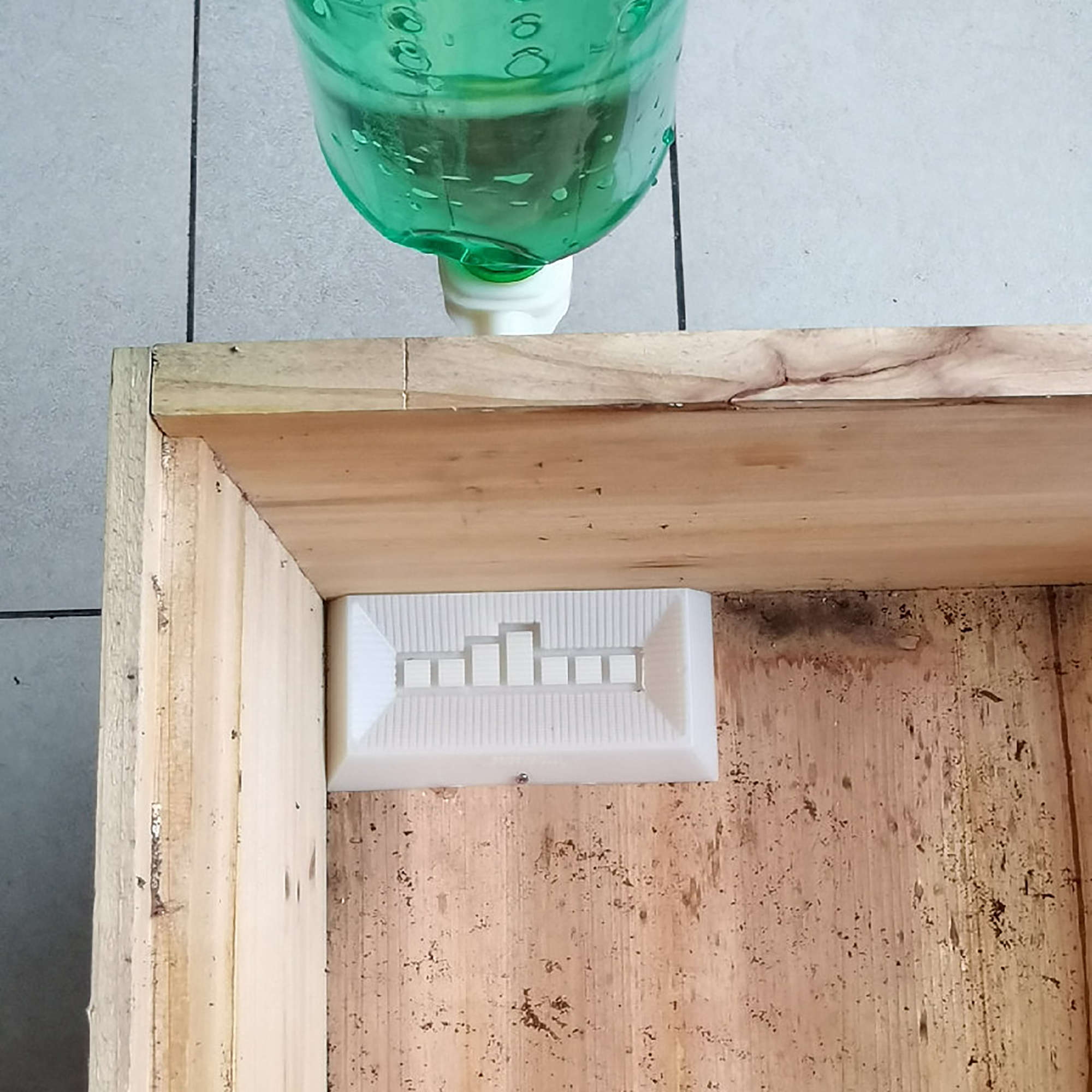 2Pcs Automatic Feeding Drinker - Begonia Rex incelemesi ve fiyatı
