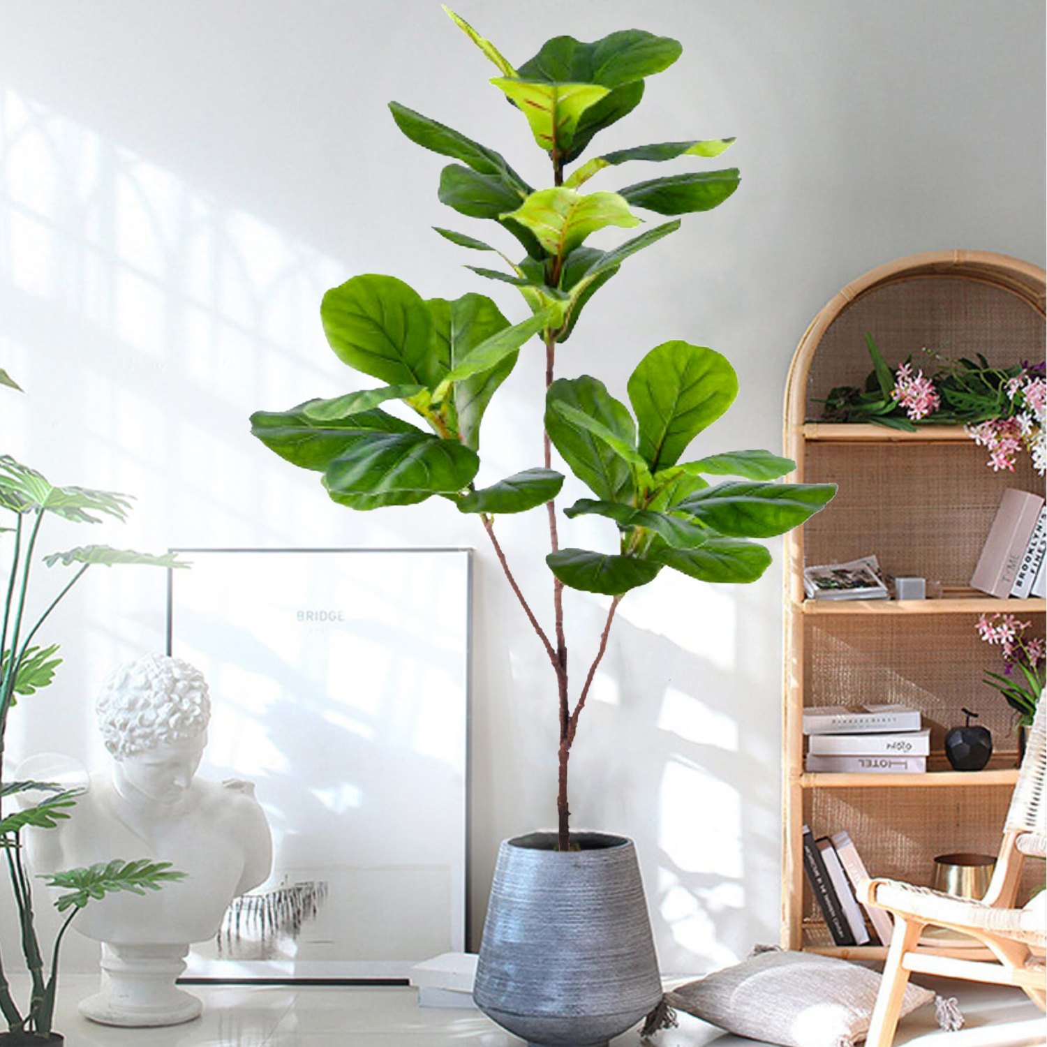 77-135cm (53.1in) Artificial F - Dracaena Marginata incelemesi ve fiyatı