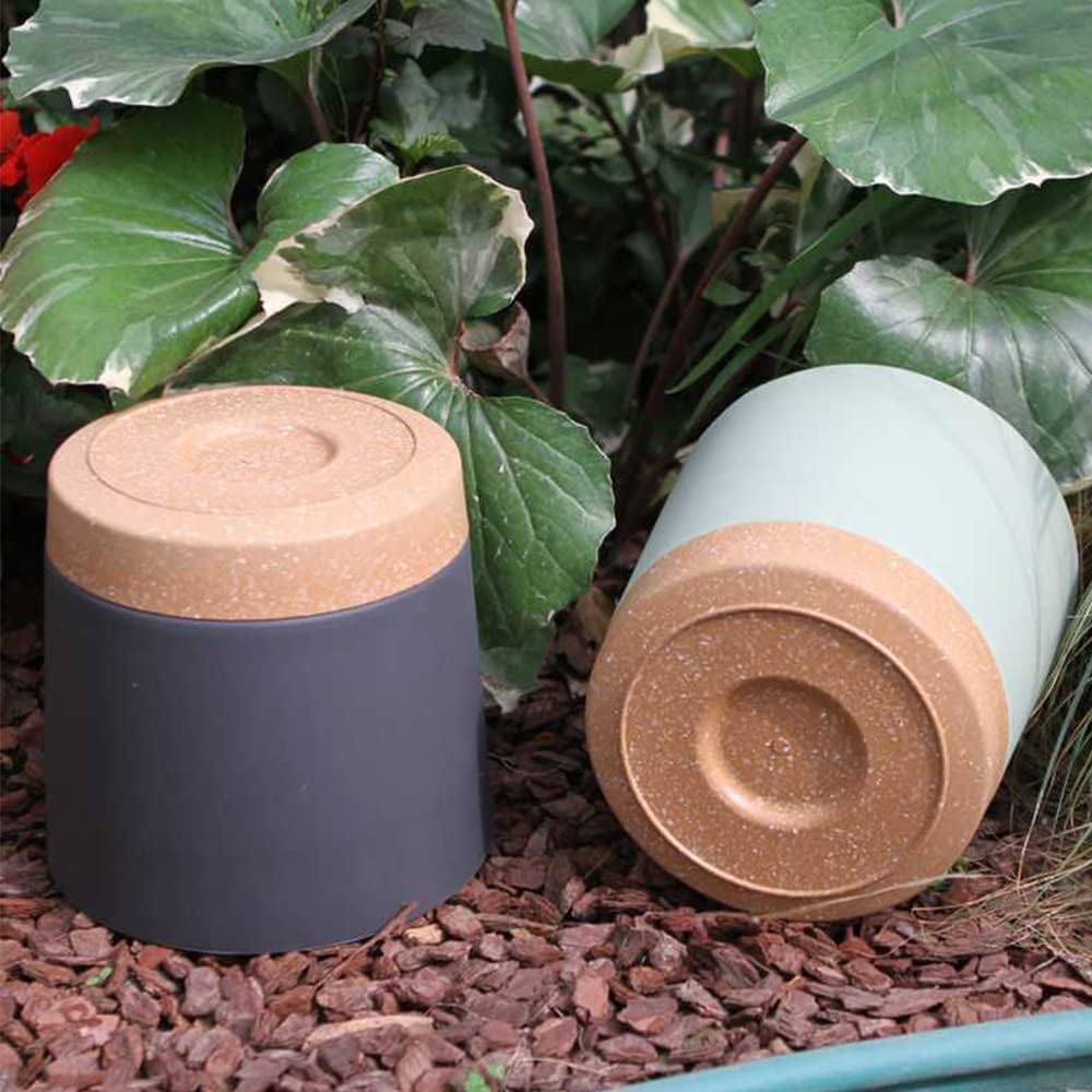 Plant POTS, lightweight large  - Aloe Vera Pot incelemesi ve fiyatı