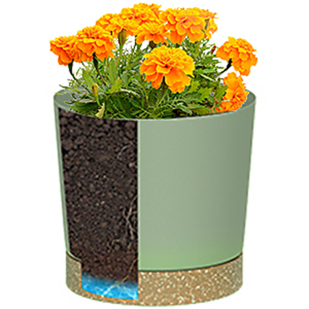Plant POTS, lightweight large  - Aloe Vera Pot incelemesi ve fiyatı