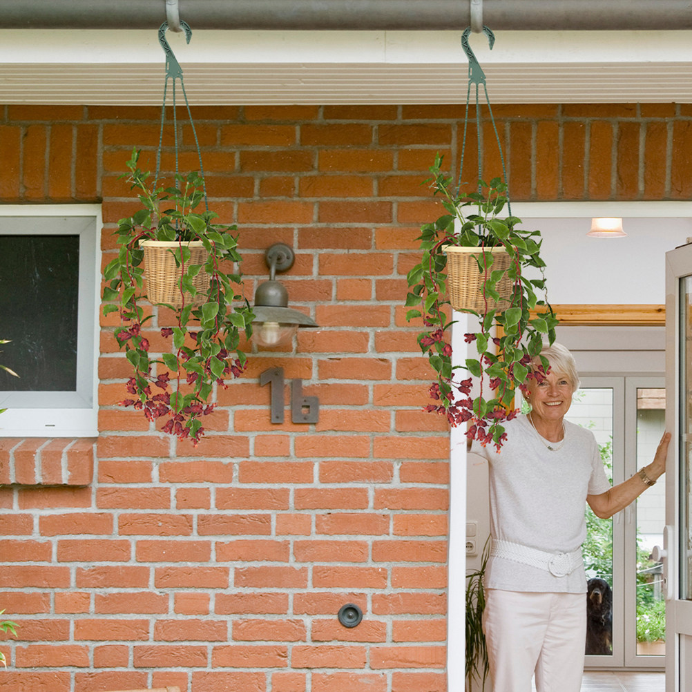 5Pcs Heavy Duty Hanging Basket - Spider Plant Hanging incelemesi ve fiyatı