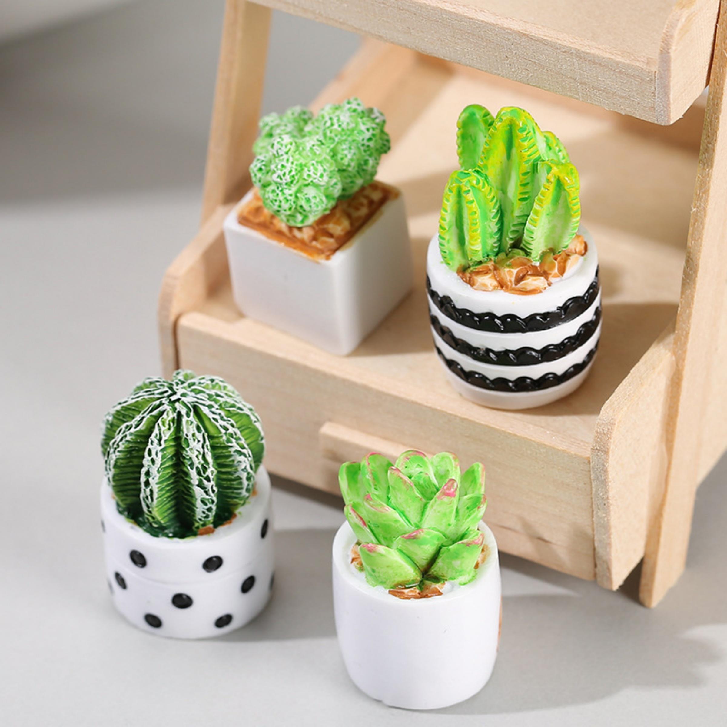 4-Piece Set of Cactus Succulen - Echeveria Succulent incelemesi ve fiyatı