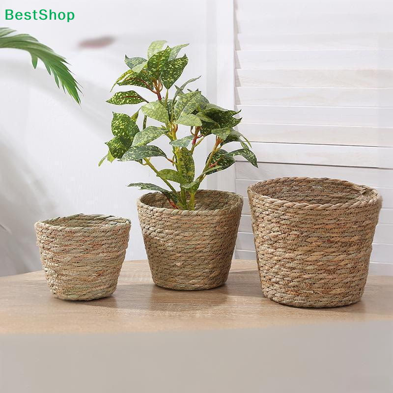 ♩Handwoven Seagrass Plant Pots - Aloe Vera Pot incelemesi ve fiyatı