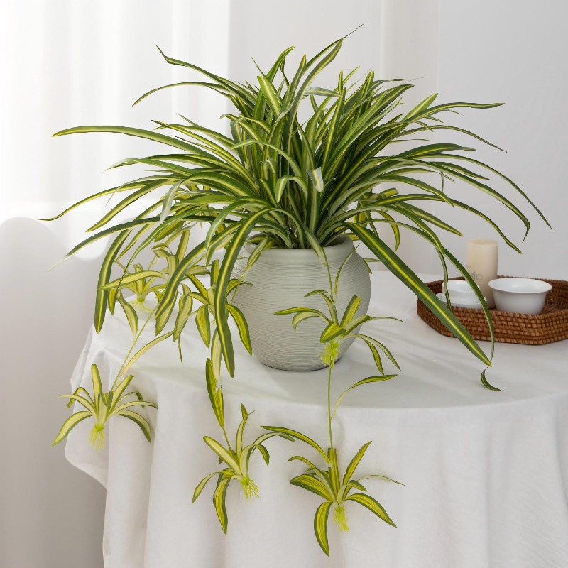 Artificial Spider Plant Chloro - Spider Plant Hanging incelemesi ve fiyatı