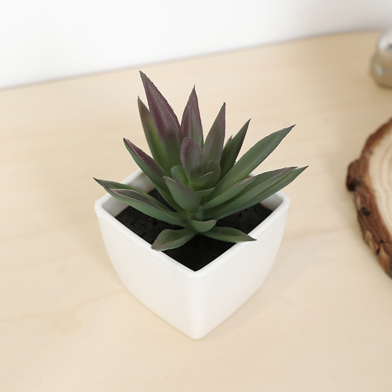 Mini Artificial Succulent Fair - Echeveria Succulent incelemesi ve fiyatı