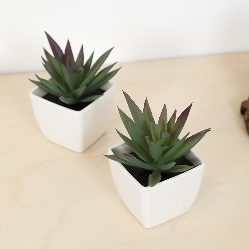 Mini Artificial Succulent Fair - Echeveria Succulent incelemesi ve fiyatı