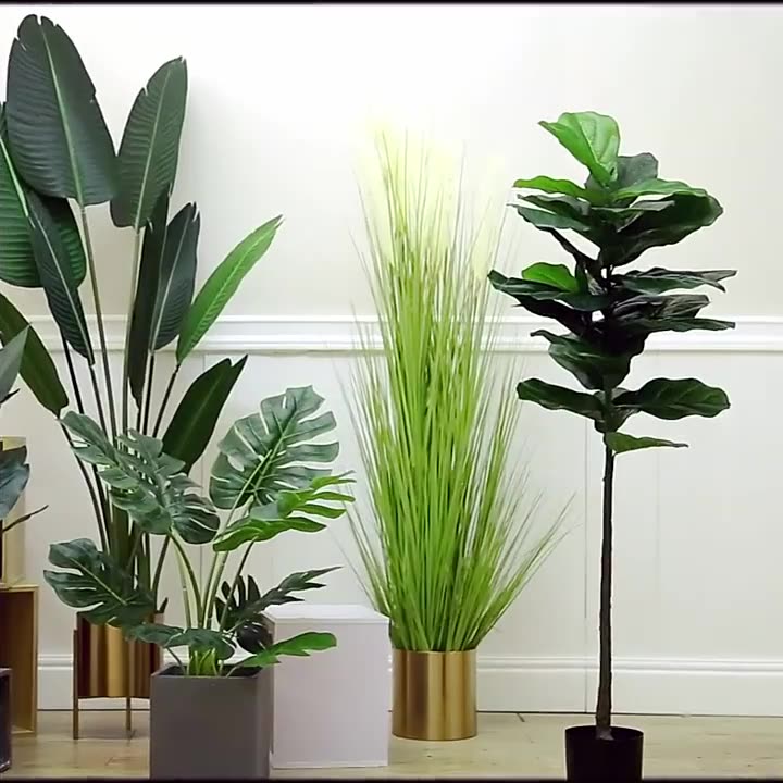 Simulation Palm Tree Artificia - Ficus Lyrata Tree incelemesi ve fiyatı