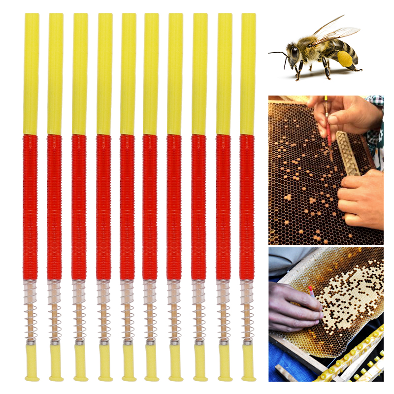 5/10Pcs Beekeeping Grafting To - Begonia Rex incelemesi ve fiyatı