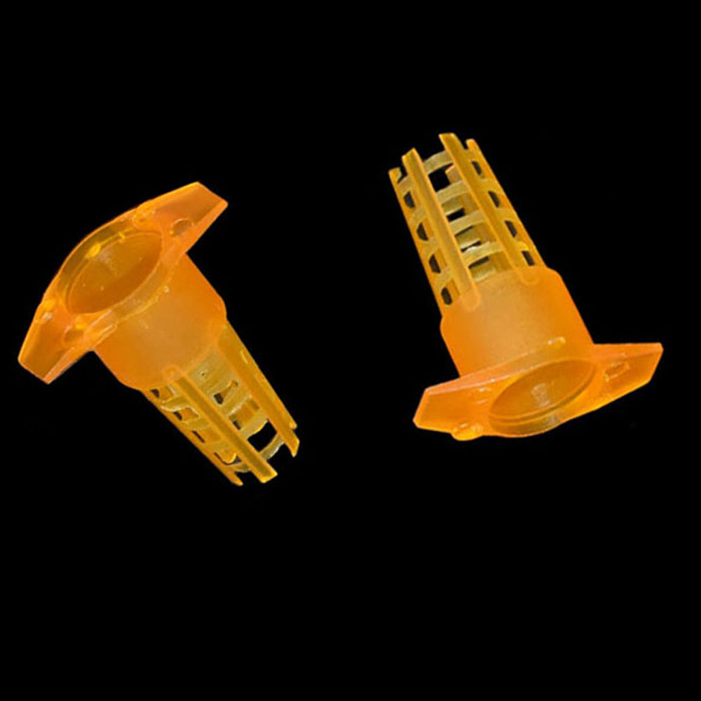 20 pcs Plastic Bee Queen Cage  - Begonia Rex incelemesi ve fiyatı