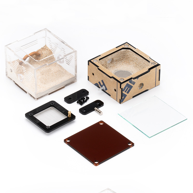 Unlimited Expansion Ant Farm H - Begonia Rex incelemesi ve fiyatı