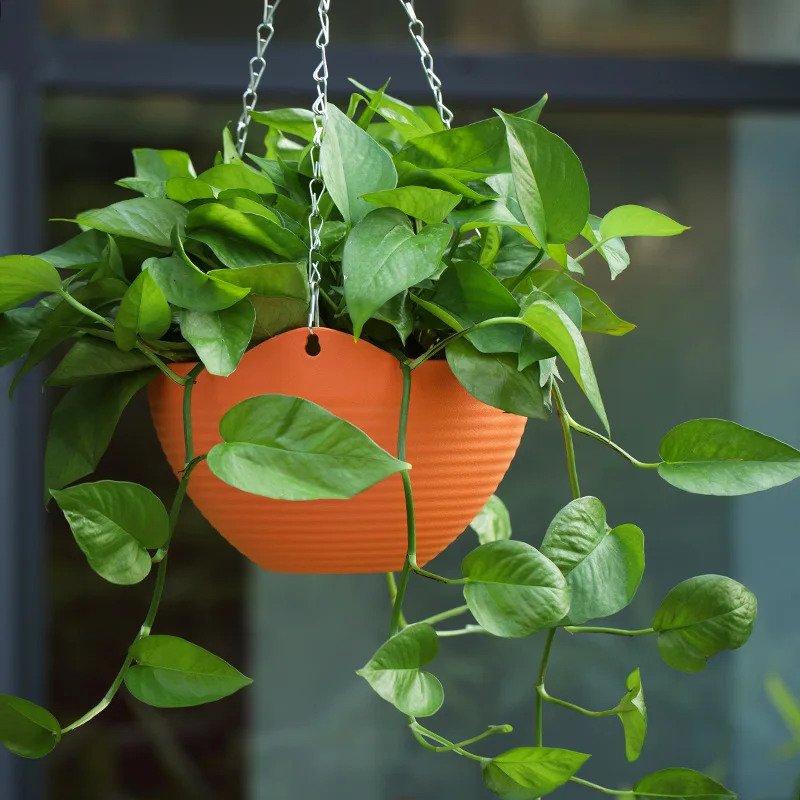 Plastic hanging basket flower  - Spider Plant Hanging incelemesi ve fiyatı