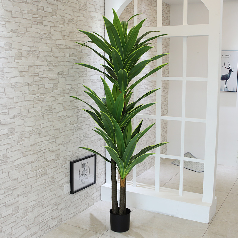 Nordic Wind Large Simulation P - Dracaena Marginata incelemesi ve fiyatı
