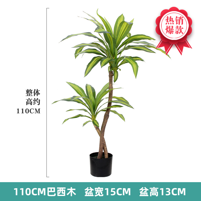 Nordic Wind Large Simulation P - Dracaena Marginata incelemesi ve fiyatı