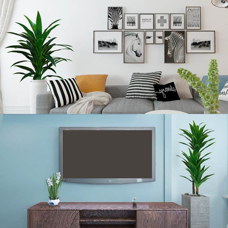 Nordic Wind Large Simulation P - Dracaena Marginata incelemesi ve fiyatı