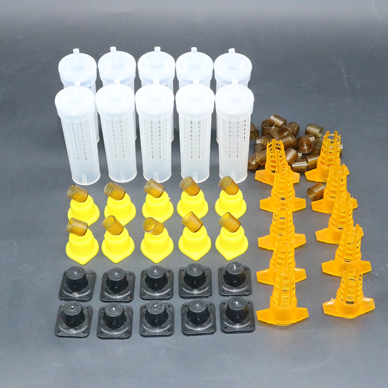 Complete bee queen king rearin - Begonia Rex incelemesi ve fiyatı